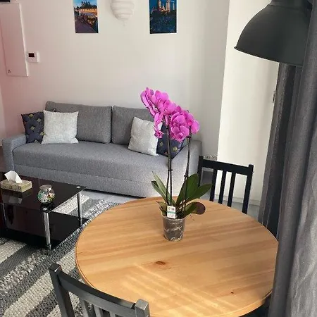 Paris Flat